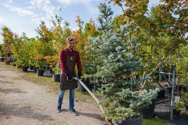 Best Commercial Tree Services  in Iola, WI